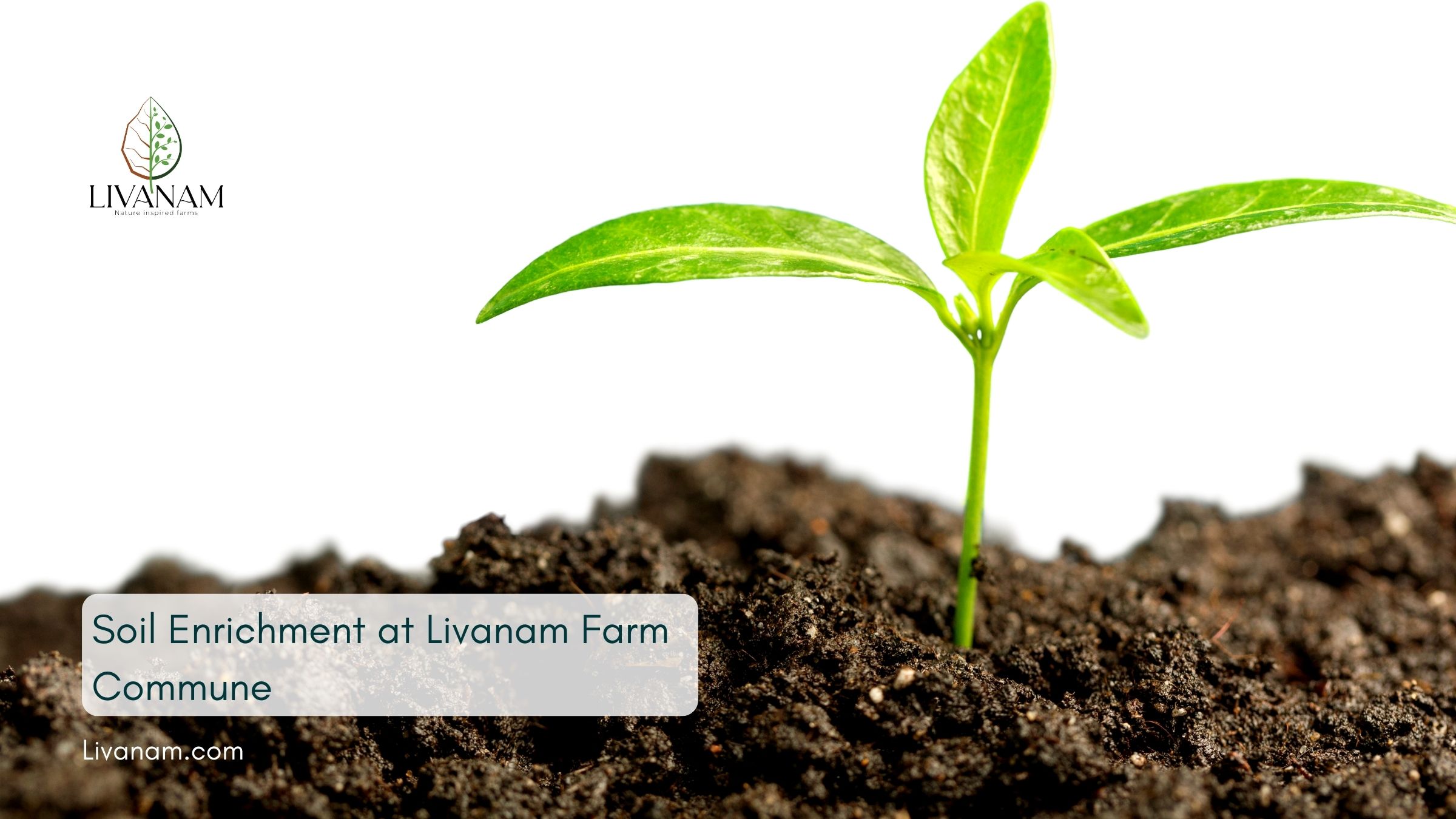 what-is-soil-conservation-livanam-farm-commune