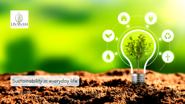Sustainability in Everyday Life-livanam.com
